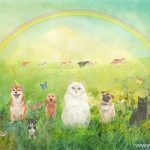 【虹の橋の詩から学ぶ】浜松市でペットが亡くなった時に飼い主様にかける言葉
